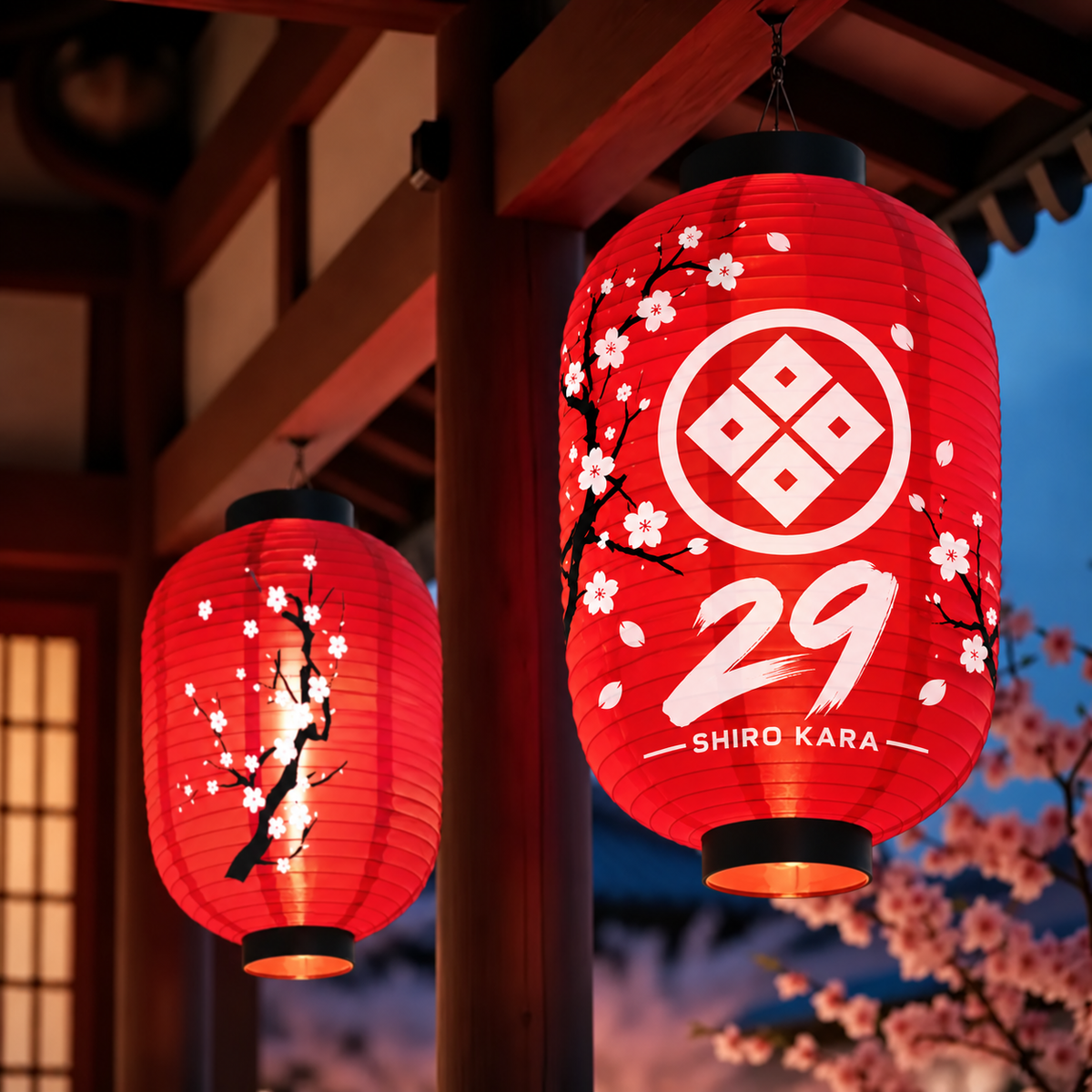 Token Price 29